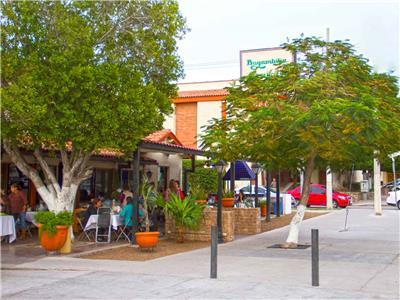 Bugambilia Hermosillo